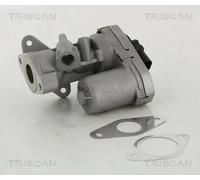 Valvola aria secondaria elettrico 8813 10002 TRISCAN per LAND ROVER FORD CITROËN