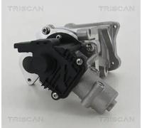 Valvola aria secondaria elettrico 8813 10007 TRISCAN per FORD LAND ROVER PEUGEOT