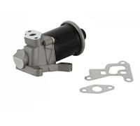 TRISCAN 8813 29100 Valvola EGR