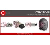 CASCO AGR-Valvola Per Opel Vivaro Combi J7 F7 F9 Renault Trafic II Kasten FL