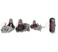 CASCO CVG75003AS Valvola EGR