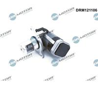 DR.MOTOR AUTOMOTIVE Valvola EGR