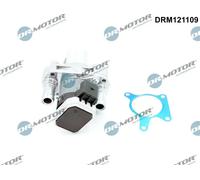 Valvola aria secondaria elettrico DRM121109 Dr.Motor Automotive