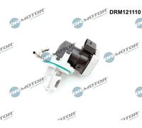 Valvola aria secondaria elettrico DRM121110 Dr.Motor Automotive