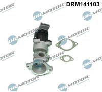 Valvola aria secondaria elettrico DRM141103 Dr.Motor Automotive per LAND ROVER