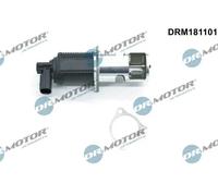 DR.MOTOR AUTOMOTIVE DRM181101 Valvola EGR
