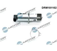 Valvola aria secondaria elettrico DRM181102 Dr.Motor Automotive per OPEL RENAULT