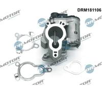 Valvola aria secondaria elettrico DRM181106 Dr.Motor Automotive per RENAULT OPEL