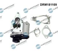 Valvola aria secondaria elettrico DRM181109 Dr.Motor Automotive per RENAULT