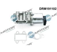 DR.MOTOR AUTOMOTIVE DRM191102 Valvola EGR con guarnizione elettrico