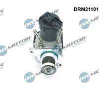 Valvola aria secondaria elettrico DRM21101 Dr.Motor Automotive per BMW X5 X6 1 5
