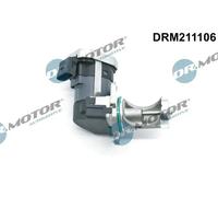 Valvola aria secondaria elettrico DRM211106 Dr.Motor Automotive per VW SEAT