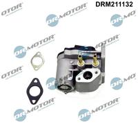 Valvola aria secondaria elettrico DRM211132 Dr.Motor Automotive per VW AUDI