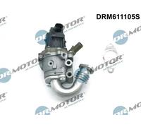 DR.MOTOR AUTOMOTIVE DRM611105S Valvola EGR con collettore aspirazione, con