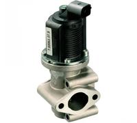 Delphi Valvola EGR 14001 – Ricircolo del gas di scarico