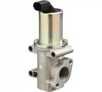 Delphi Valvola EGR EG10302-12B1 con guarnizioni per Alfa Romeo, Fiat, Lancia