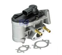 Delphi Valvola EGR EG10411-12B1 senza radiatore per Audi A3 1.6 (2003-2007)