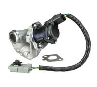 Delphi Technologies EG10434-12B1 Valvola EGR