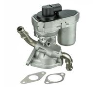 Delphi Valvola EGR EG10436-12B1 per Ford Transit Furgone senza radiatore