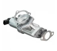 DELPHI AF10442-12B1 Debimetro