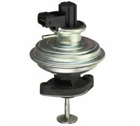 Delphi Technologies EG10467-12B1 Valvola EGR