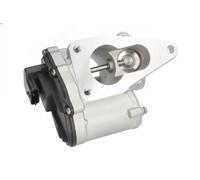 Delphi Valvola EGR EG10631-12B1 per Suzuki Grand Vitara II