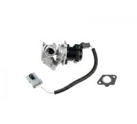 NTY Valvola EGR EGR-FR-001 per Ford e Volvo