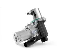 NTY EGR-VW-006 Valvola EGR