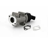 TRISCAN 8813 10005 Valvola EGR