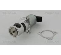 Triscan Valvola EGR 8813 24037 per Renault e Mitsubishi