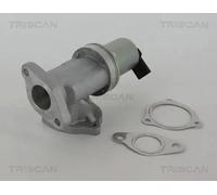 TRISCAN 8813 43002 Valvola EGR