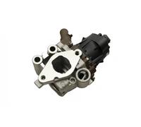 FAST FT60248 Valvola EGR