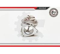 Valvola aria secondaria pneumatico 14SKV019 ESEN SKV per SKODA VW AUDI SEAT JEEP