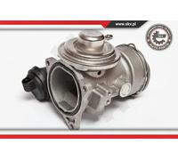 Valvola aria secondaria pneumatico 14SKV025 ESEN SKV per AUDI VW SEAT SKODA FORD