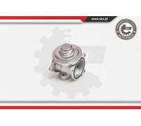 Valvola aria secondaria pneumatico 14SKV034 ESEN SKV per AUDI VW SEAT SKODA