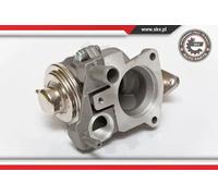 ESEN SKV 14skv063 AGR di valvole