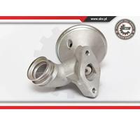 Valvola aria secondaria pneumatico 14SKV075 ESEN SKV per PEUGEOT FORD CITROËN