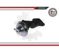 Valvola aria secondaria pneumatico 14SKV077 ESEN SKV per CITROËN PEUGEOT SUZUKI