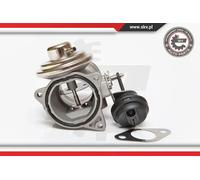 Valvola aria secondaria pneumatico 14SKV081 ESEN SKV per VW SKODA SEAT