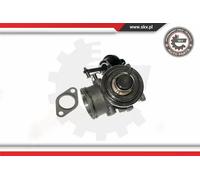 Valvola aria secondaria pneumatico 14SKV090 ESEN SKV per VW NEW BEETLE