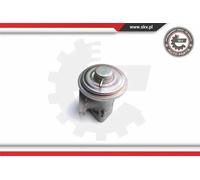 Valvola aria secondaria pneumatico 14SKV098 ESEN SKV per FORD TRANSIT Furgone