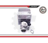 ESEN SKV Valvola EGR