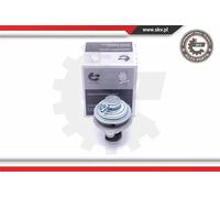 Valvola aria secondaria pneumatico 14SKV182 ESEN SKV per SMART MITSUBISHI