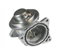 ERA Benelux Valvola EGR 555060A per VW, SKODA, AUDI (Golf V, Polo, Golf IV, Touran)