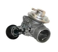 ERA Valvola EGR 555062A Valvola ricircolo gas scarico-EGR VW,SKODA,AUDI,POLO (9N_),Golf IV Hatchback (1J1),POLO (6N2),Lupo (6X1, 6E1)