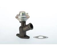 Valvola aria secondaria pneumatico 710922D/1 BorgWarner (Wahler) per CITROËN