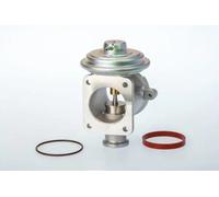 Valvola aria secondaria pneumatico 710924D/1 BorgWarner (Wahler) per BMW X3 7 X5