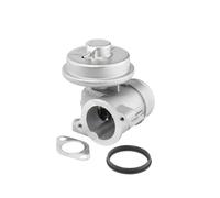 WAHLER Valvola EGR 712052D pneumatica BorgWarner (BERU)