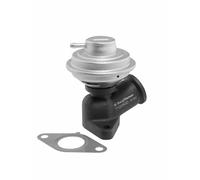 Valvola aria secondaria pneumatico 712090D BorgWarner (Wahler) per CITROËN FIAT
