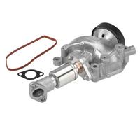 Valvola aria secondaria pneumatico 7206D/1 BorgWarner (Wahler)